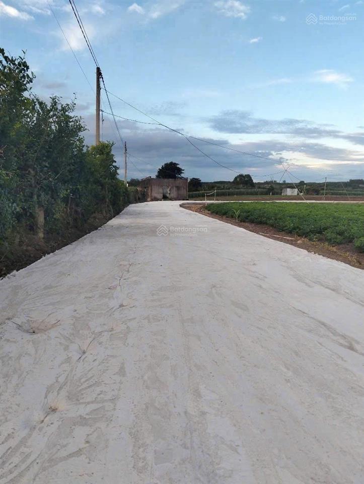 Bán đất tại láng dài, 3,55 tỷ, 3500m2, giá cực chất