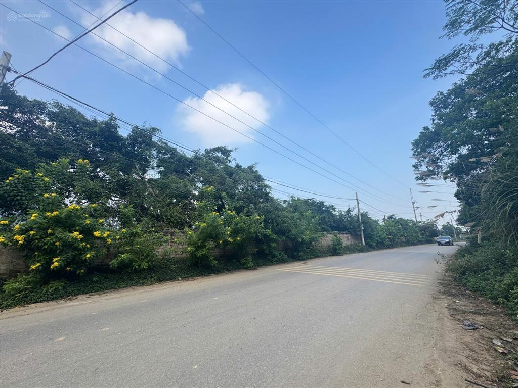 Chính chủ gửi bán đất tại ba vì  view hồ  đồi thông  sổ đỏ vuông đẹp  250m2 chỉ nhô 3 tỷ