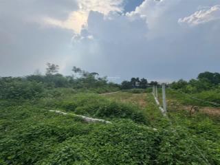 Chủ cần tiền bán gấp lô đất đẹp khu đấu giá hồ văn sơn  hoàng văn thụ  chương mỹ