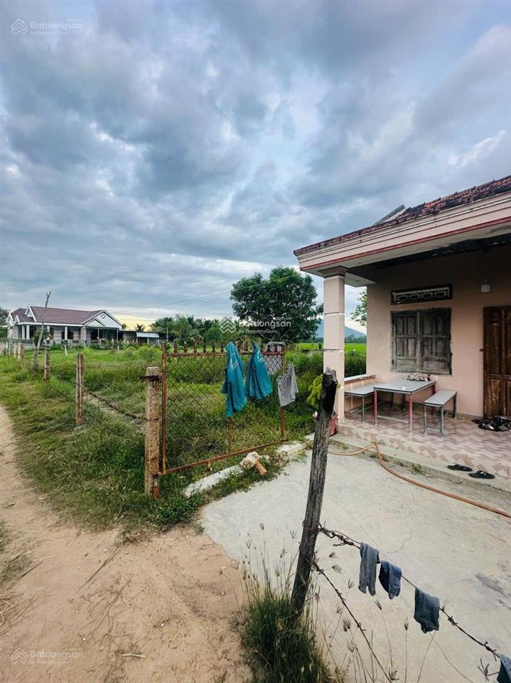 Tôi chính chủ cần bán gấp đất ninh an bao full thổ cư
