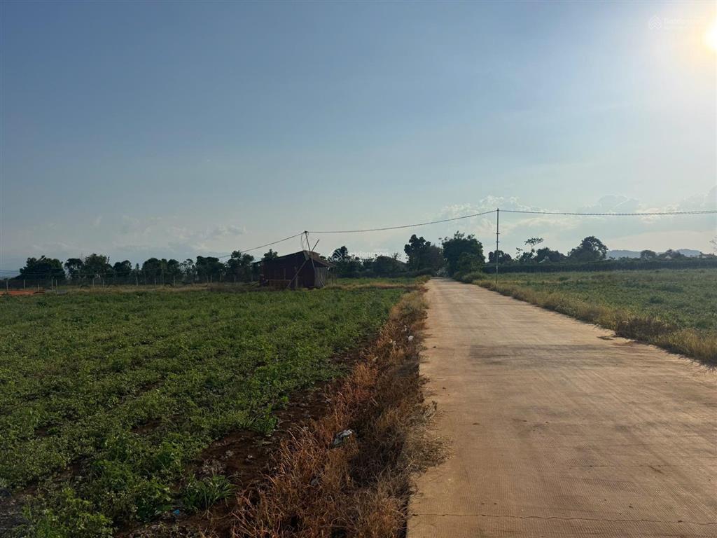 Đất núi r chai phú hội xã đức trọng