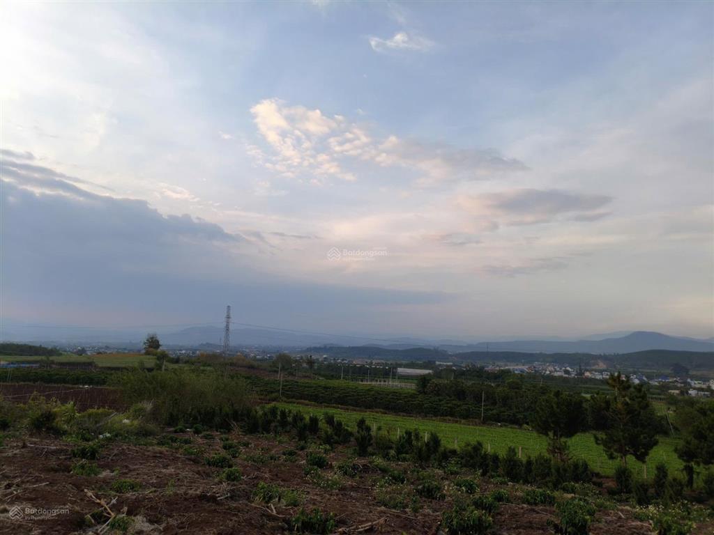 9.400m2 view núi đôi rchai tại đức trọnglâm đồng
