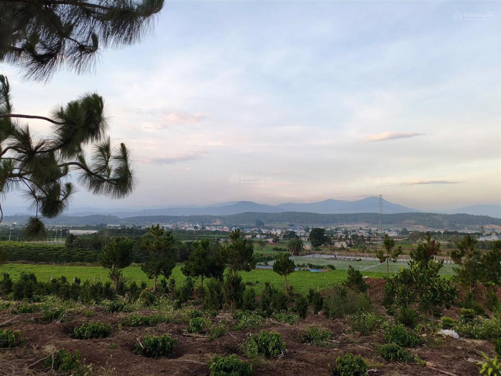 9.400m2 view núi đôi rchai tại đức trọnglâm đồng