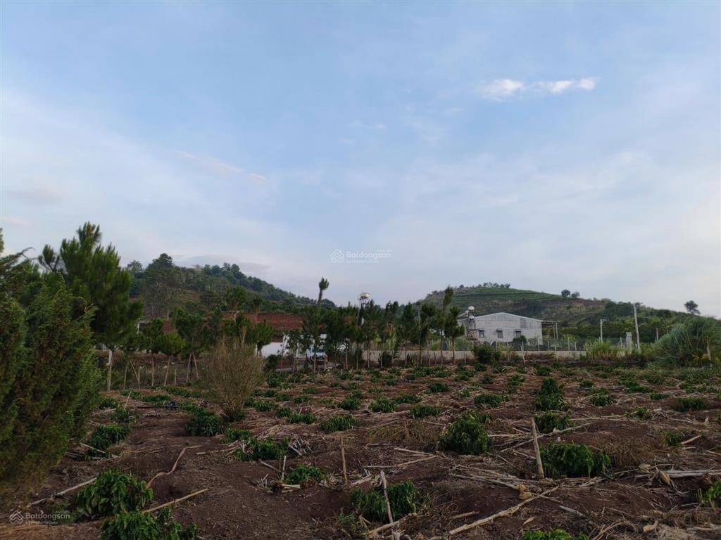 9.400m2 view núi đôi rchai tại đức trọnglâm đồng
