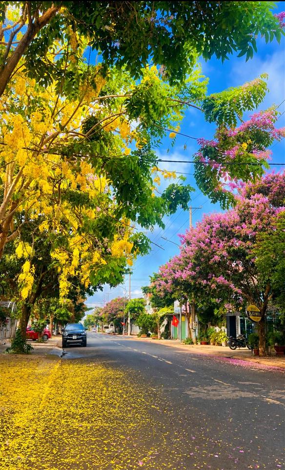 Đất biệt thự nguyễn lương bằng gần sân bay liên khương