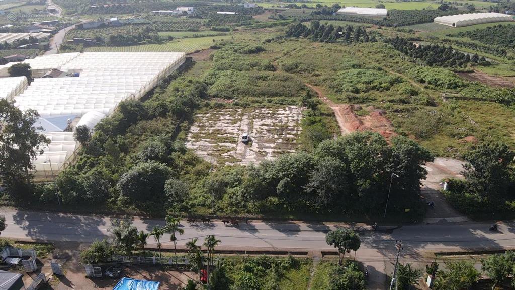 Quỹ đất 1,56 ha mặt tiền ql27 ưu thế đầu tư sản xuất nông sản  kho  bãi  xưởng