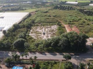 Quỹ đất 1,56 ha mặt tiền ql27 ưu thế đầu tư sản xuất nông sản  kho  bãi  xưởng