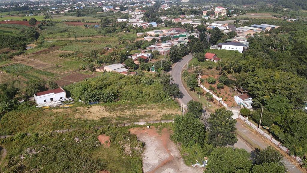 Quỹ đất 1,56 ha mặt tiền ql27 ưu thế đầu tư sản xuất nông sản  kho  bãi  xưởng