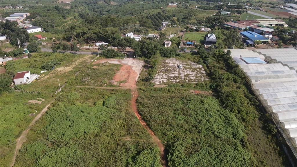 Quỹ đất 1,56 ha mặt tiền ql27 ưu thế đầu tư sản xuất nông sản  kho  bãi  xưởng