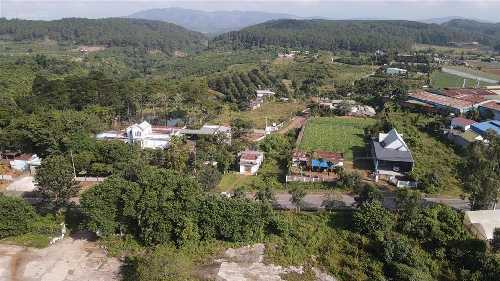 Quỹ đất 1,56 ha mặt tiền ql27 ưu thế đầu tư sản xuất nông sản  kho  bãi  xưởng