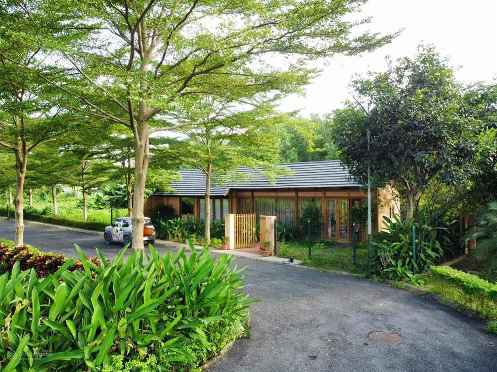 Bán đất dân thổ cư phú mãn, quốc oai, hn