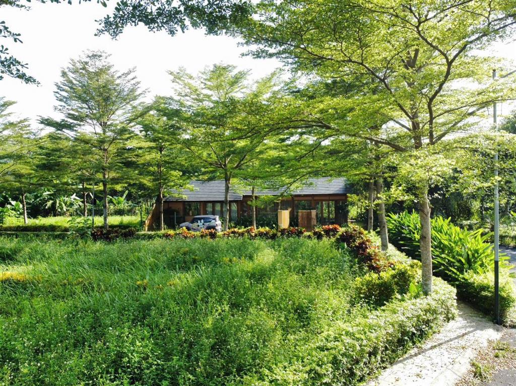Bán đất dân thổ cư phú mãn, quốc oai, hn