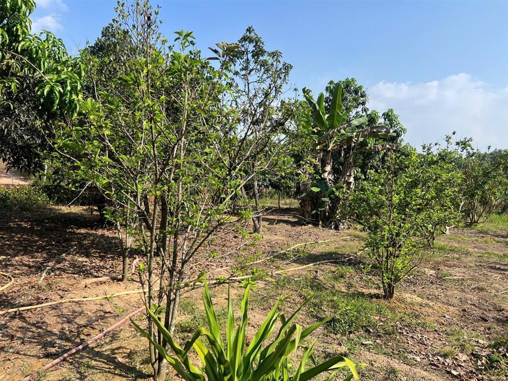 Cần bán gấp đất vĩnh tân | dt 1.648m² có 300m² thổ cư | đường qh 14m | giá tốt chốt nhanh