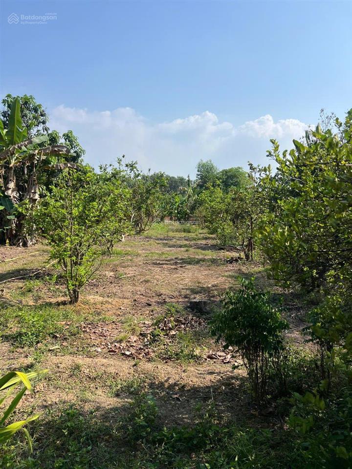 Cần bán gấp đất vĩnh tân | dt 1.648m² có 300m² thổ cư | đường qh 14m | giá tốt chốt nhanh