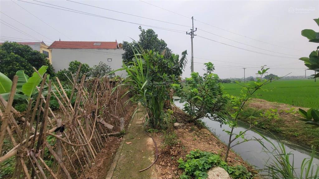 L đất đấu giá đẹp view hồ, 02 thoáng tại đấu giá tê quả  tam hưng tp hà nội