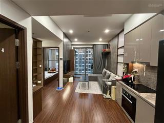 Độc quyền chính chủ bán căn 1n+ full nội thất  the sapphire 1 vinhomes ocean park  sổ hồng sẵn
