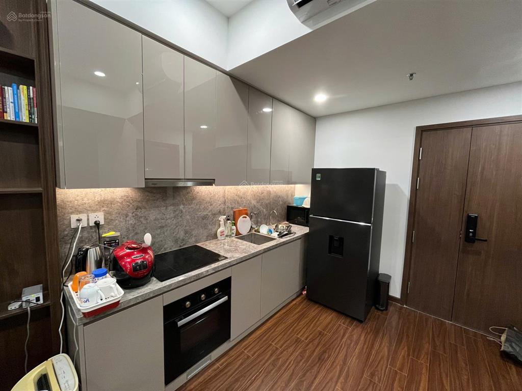 Độc quyền chính chủ bán căn 1n+ full nội thất  the sapphire 1 vinhomes ocean park  sổ hồng sẵn