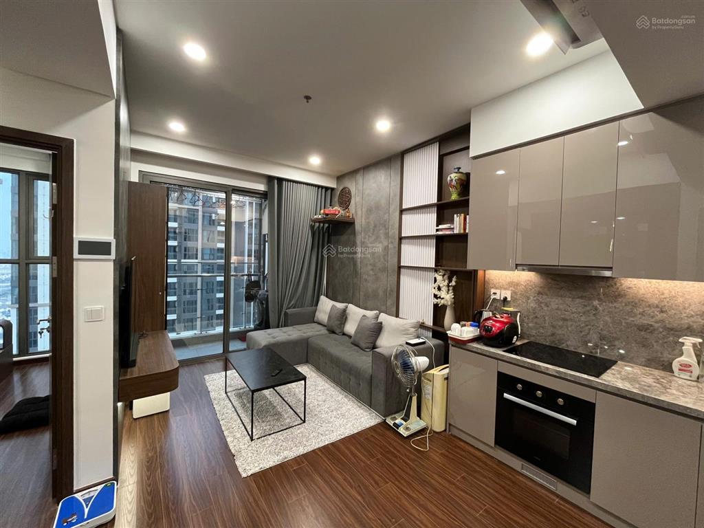 Độc quyền chính chủ bán căn 1n+ full nội thất  the sapphire 1 vinhomes ocean park  sổ hồng sẵn