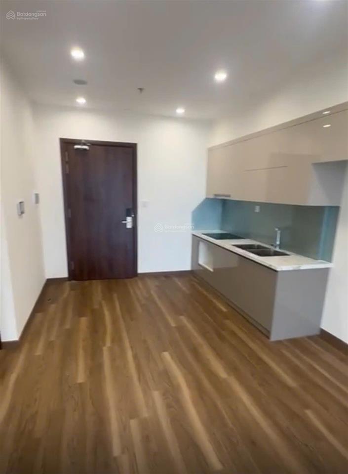 Hiếm! bán căn 2pn 2wc sapphire 1 ocean park full nội thất, hướng đông nam, vào ở ngay
