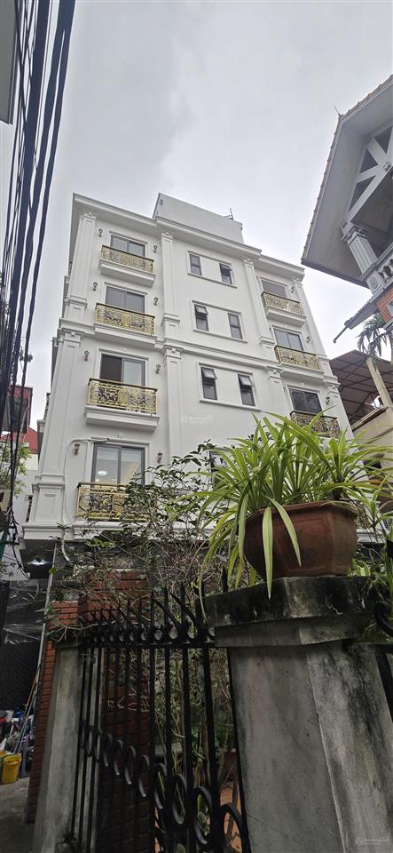 Phố ẩm thực vũ lăng, 6 tầng, lô góc, thang máy, đẹp không tì vết, điểm 10 cho chất lượng!