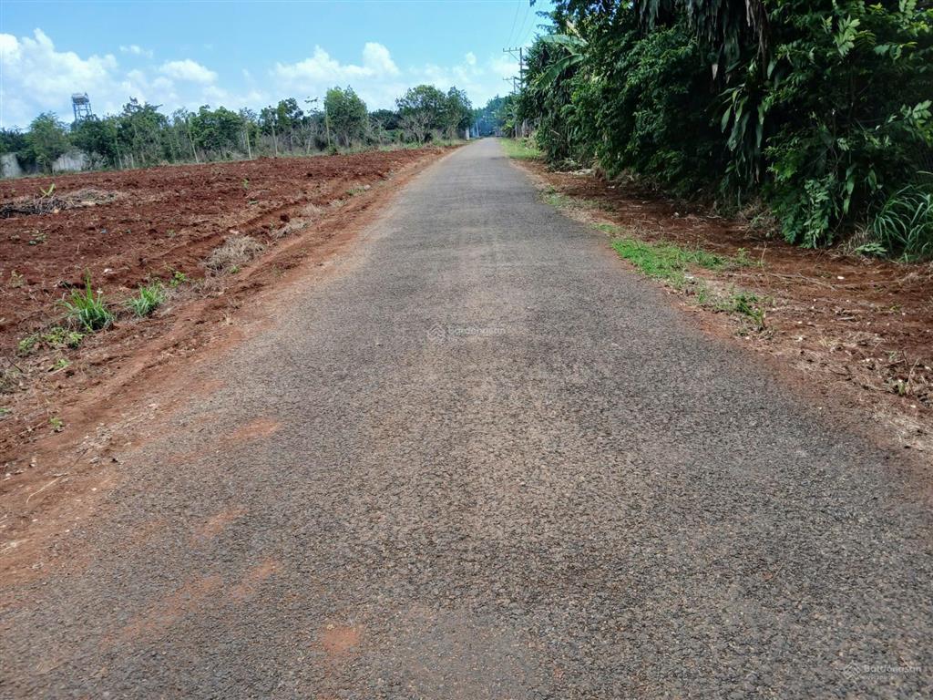 Nóng rồi, đất tp giá chỉ hơn 1tr/m2 chủ gửi 4132m2 đất mt đường nhựa ngay trung tâm tân thành