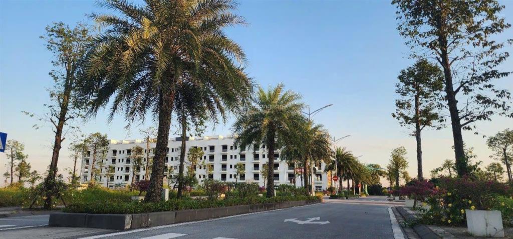 Bán nhà mặt phố. đường container, dt 85m2