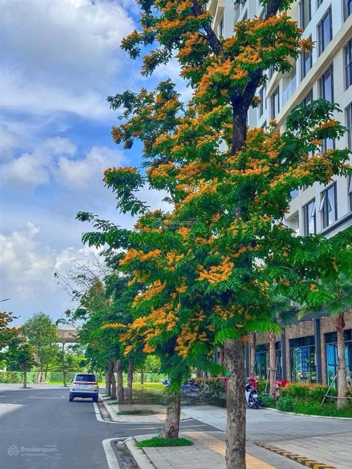 Giỏ hàng hơn 200 căn lumiere boulevard với mức giá tốt nhất thị trường (cập nhật mới mỗi ngày)