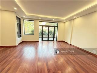 Biệt thự vip cầu giấy lô góc 2 mặt tiền vỉa hè rộng điều hòa âm trần nội thất xa xỉ (qtll10096)