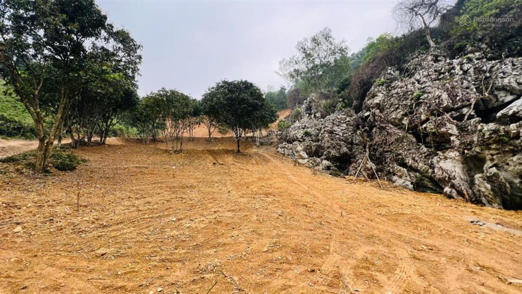 Bán lô đất vừa đẹp vừa chất gần sân gôn phượng hoàng  khó tìm như người yêu cũ mà vẫn độc thân!
