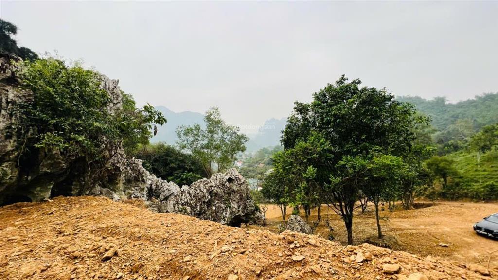 Bán lô đất vừa đẹp vừa chất gần sân gôn phượng hoàng  khó tìm như người yêu cũ mà vẫn độc thân!