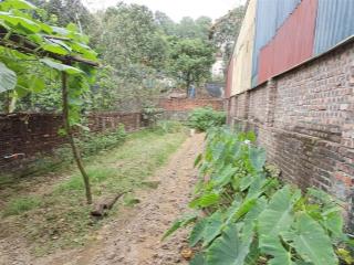 Cần bán gấp 85m đất, mt 4,7m, tại hoàn sơn, tiên du, bắc ninh, loanh quanh 2 tỷ