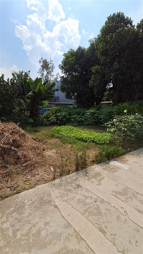 Nhỏ tiền, phù hợp tài chính, đất đẹp long lanh, cách ô tô 10m