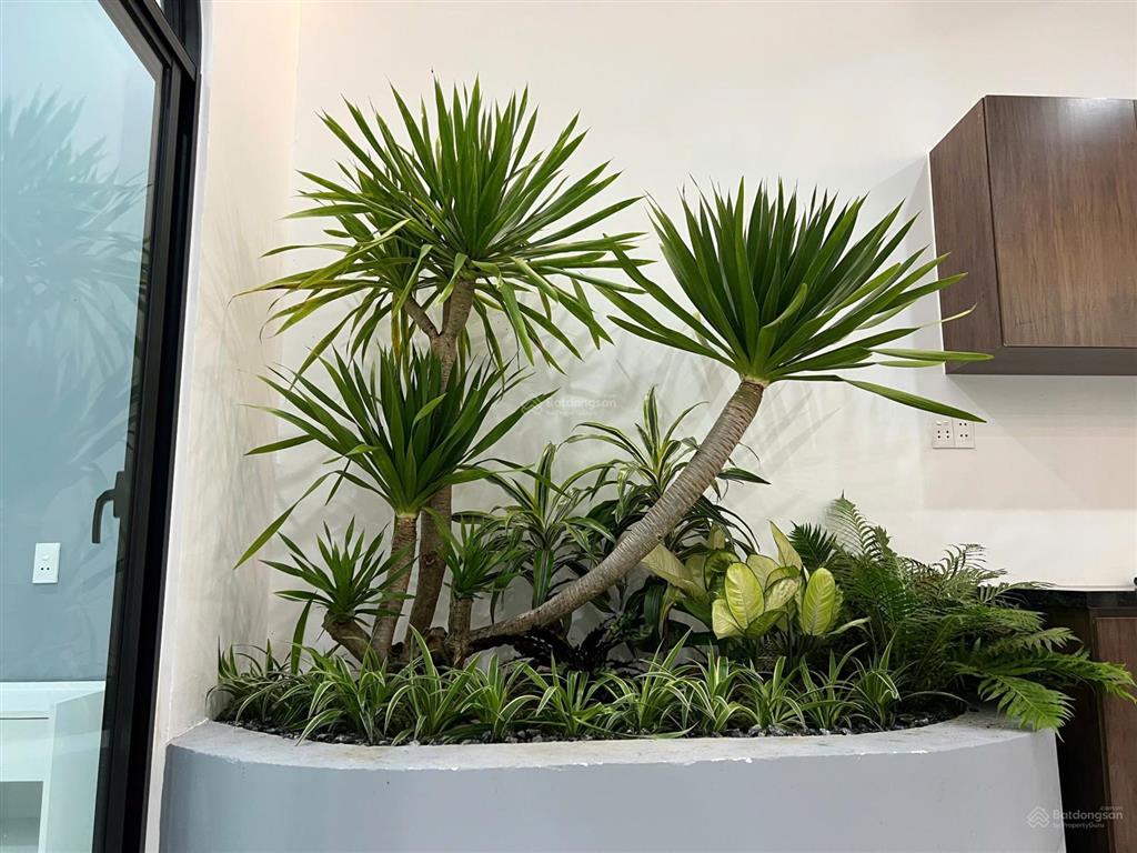 Nhà an mỹ cẩm châu 108m², 2 tầng kiên cố, gần lúa mát mẻ, cách biển 1km 6,1 tỷ