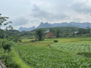 Đất nghỉ dưỡng yên bài  ba vì  hà nội các bác ơi