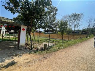 Lô góc, nở hậu giá cực đẹp nam phong, cao phong, hòa bình