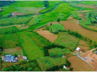 Lô đất hơn 1000m2 có 900m2 tc giá đẹp