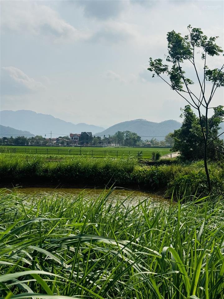 Ba vì 651.6m2 lô góc, view núi tản, nở hậu