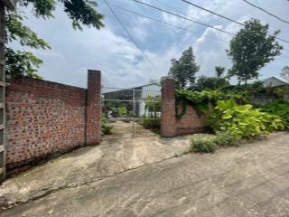 Chỉ hơn 2 tỷ cả nhà cả đất vật lại ba vì hà nội 630m2 sửa sang đi về ở cuối tuần quá hợp lí ạ