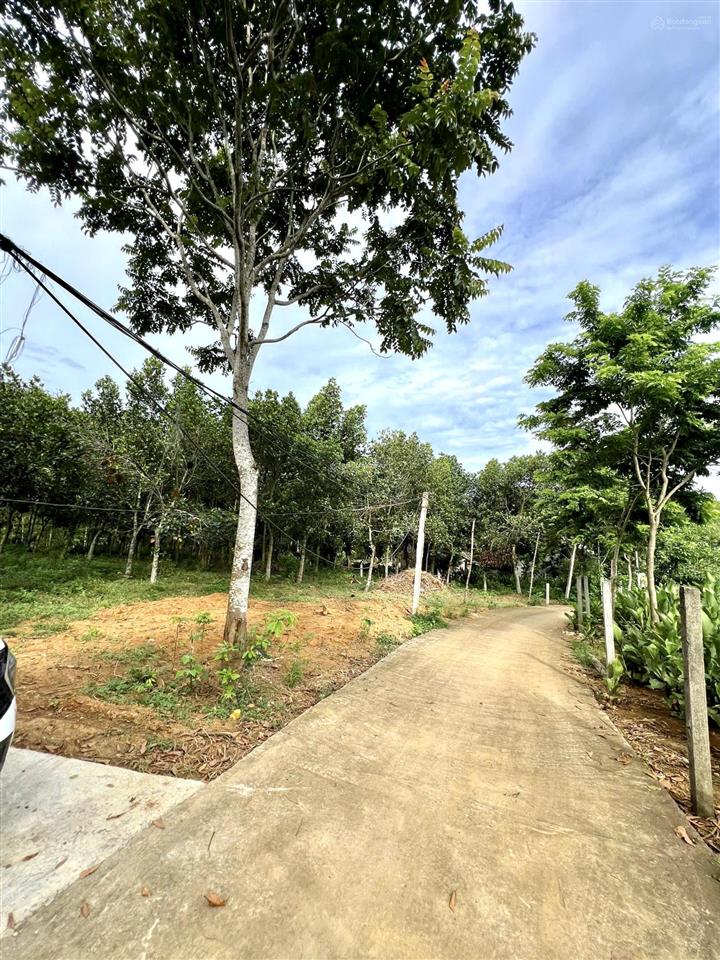 Lô đất 1260m2 đẹp nhất khánh thượng bám đường 40m cực tiềm năng để sở hữu hoặc xây home đẹp 2,x tỷ
