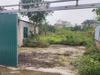 Cần bán đất trồng cây hàng năm đã có nhà và vườn cây