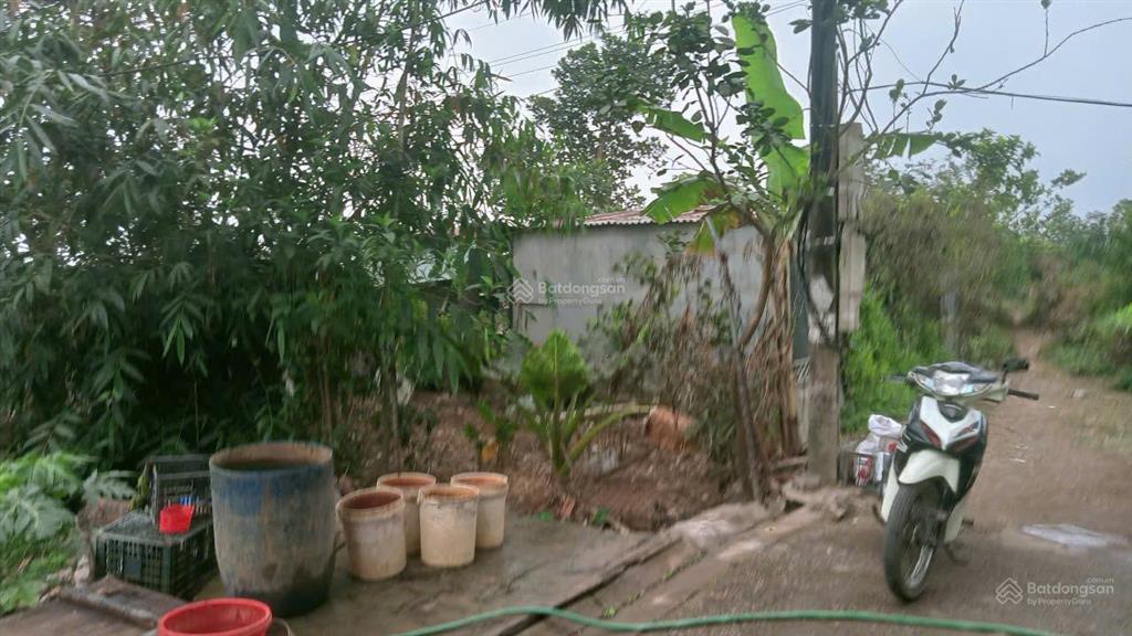 Bán 1.972m² đất nông nghiệp gia lâm, gần chợ, trường học, khu tái định cư, giá chỉ 1,8 triệu/m²
