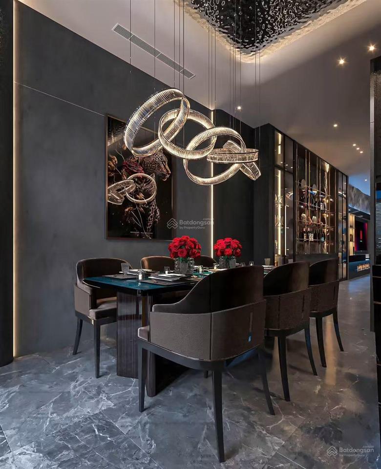 Villa luxury mặt phố khu thiên lôi aone hải phòng thiết kế độc bản. vị trí vàng mặt phố kinh doanh