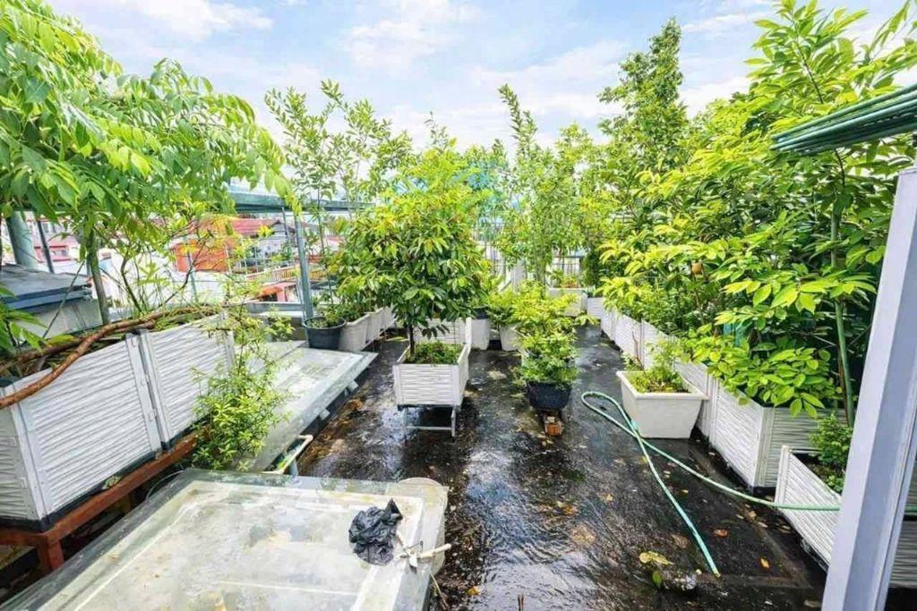 CÁCH PHỐ 70M  - DÂN XÂY KCBT  - GIẤY PHÉP XD,- BẢN THIẾT KẾ ĐẦY ĐỦ - NÓI KO VỚI QUY HOẠCH 👉 Có thể cải tạo thêm  Thang 