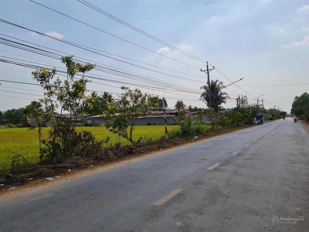 Cần tiền gấp bán đất mtđ phú thuận (gần sân banh phú thuận) xã phú mỹ hưng, huyện củ chi cũ
