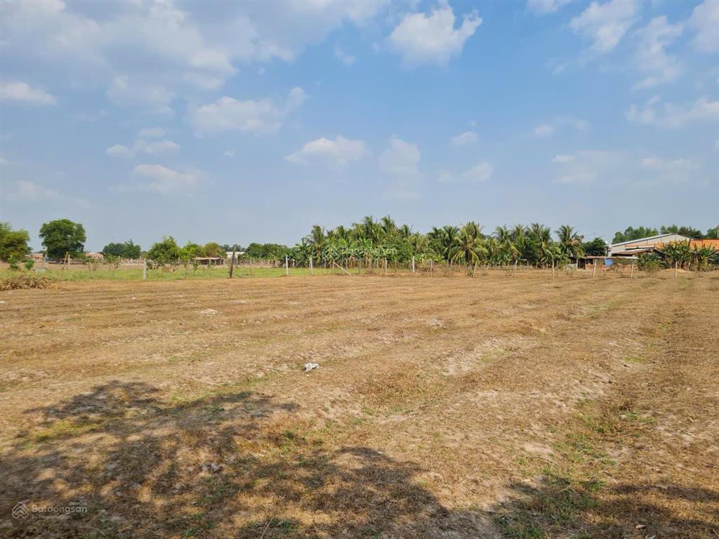 Ngân hàng phát mãi bđs tại mtđ đt821, xã an ninh, tỉnh tây ninh (xã lộc giang, đức hòa, long an cũ)