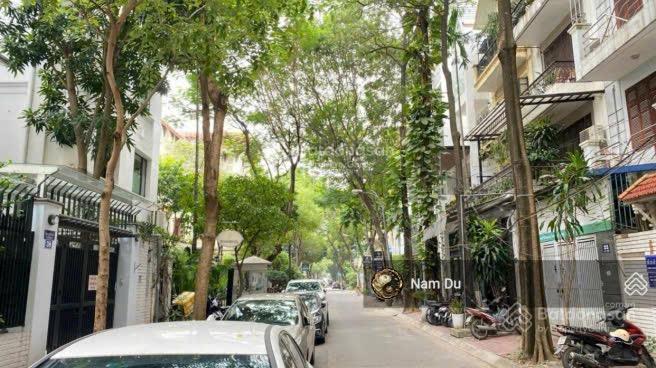 Cần bán nhà 4,5 tầng kiểu biệt thự phố đội cấn  liễu giai diện tích 115m2 mt 8m ô góc