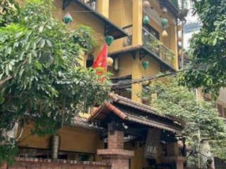 Cần bán nhà 4,5 tầng kiểu biệt thự phố đào tấn  liễu giai diện tích 130m2 mt 12m