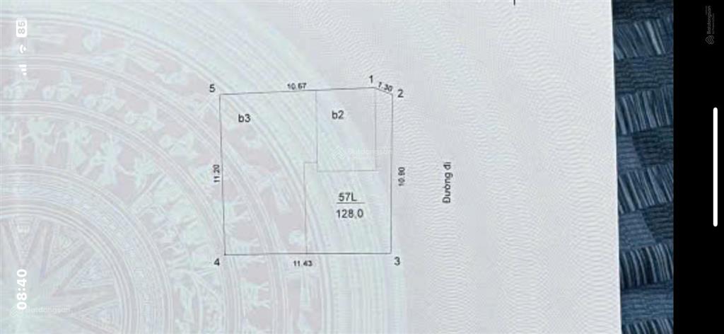 Cần bán nhà 4,5 tầng kiểu biệt thự phố đội cấn  liễu giai diện tích 115m2 mt 8m ô góc