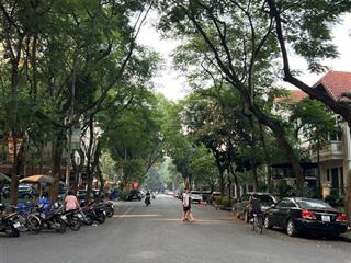 Cho thuê cặp biệt thự đôi vip bán đảo linh đàm.gần 600m nhiều gara  bể bơi,full công năng