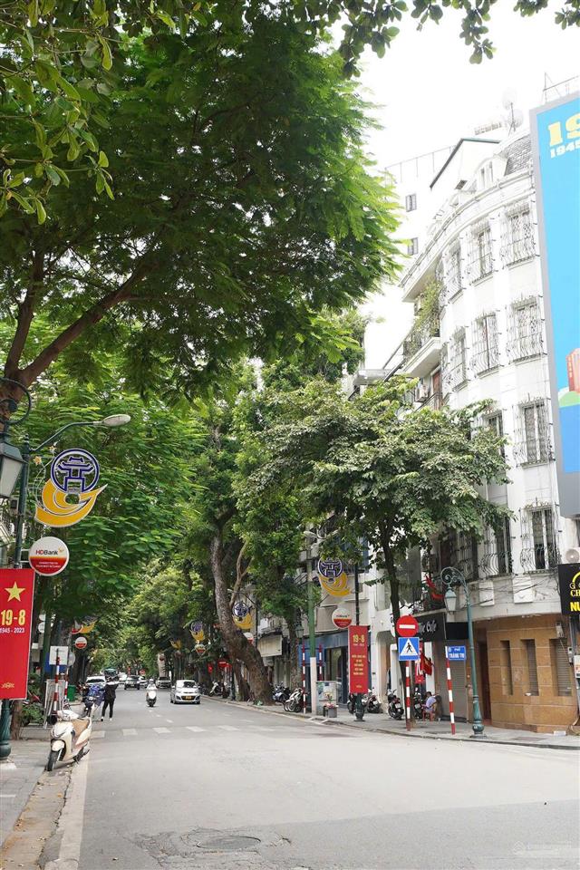 Cho thuê căn hộ homestay phố thợ nhuộm, hoàn kiếm dtsd 120m2, 3pn, full nội thất, giá 16.5tr/tháng